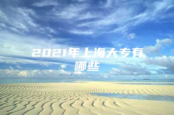 2021年上海大专有哪些