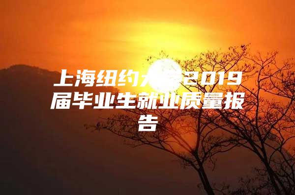 上海纽约大学2019届毕业生就业质量报告