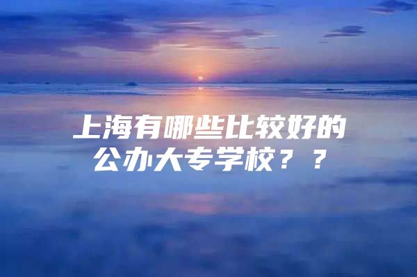 上海有哪些比较好的公办大专学校？？