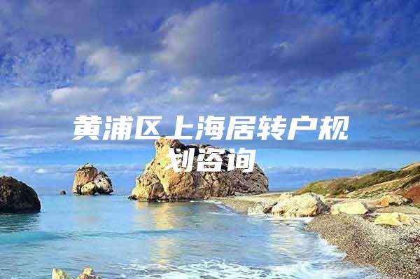 黄浦区上海居转户规划咨询