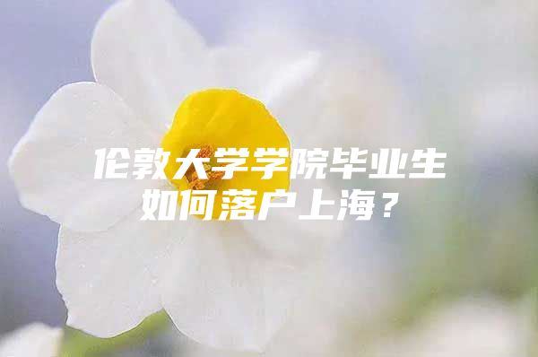 伦敦大学学院毕业生如何落户上海？