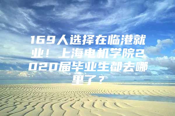 169人选择在临港就业！上海电机学院2020届毕业生都去哪里了？