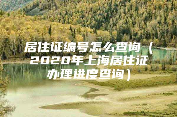 居住证编号怎么查询（2020年上海居住证办理进度查询）