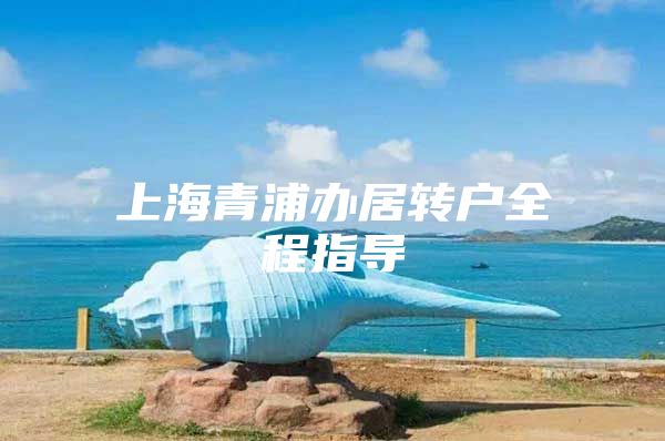 上海青浦办居转户全程指导