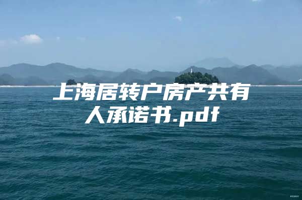 上海居转户房产共有人承诺书.pdf