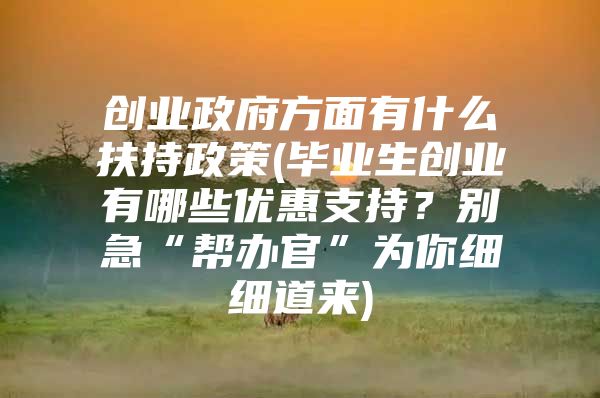 创业政府方面有什么扶持政策(毕业生创业有哪些优惠支持？别急“帮办官”为你细细道来)