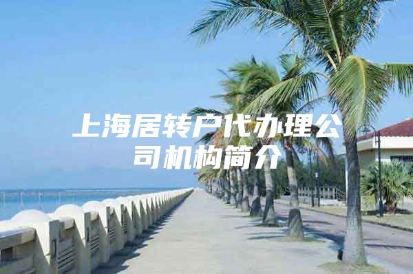 上海居转户代办理公司机构简介