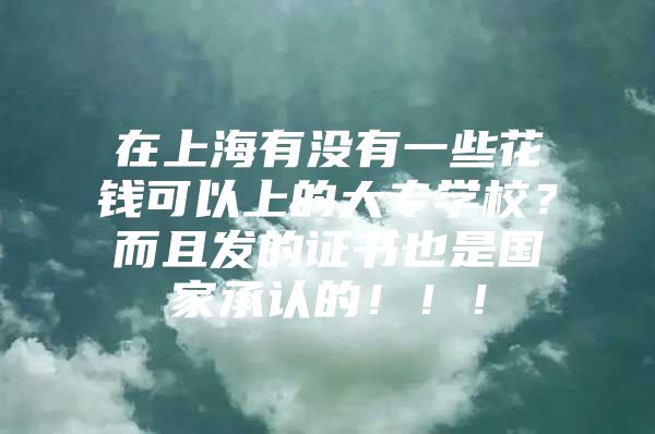 在上海有没有一些花钱可以上的大专学校？而且发的证书也是国家承认的！！！