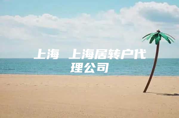 上海 上海居转户代理公司