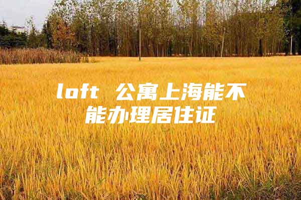 loft 公寓上海能不能办理居住证