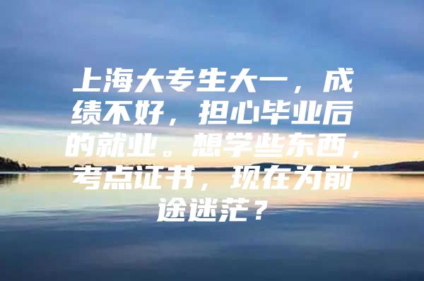 上海大专生大一，成绩不好，担心毕业后的就业。想学些东西，考点证书，现在为前途迷茫？