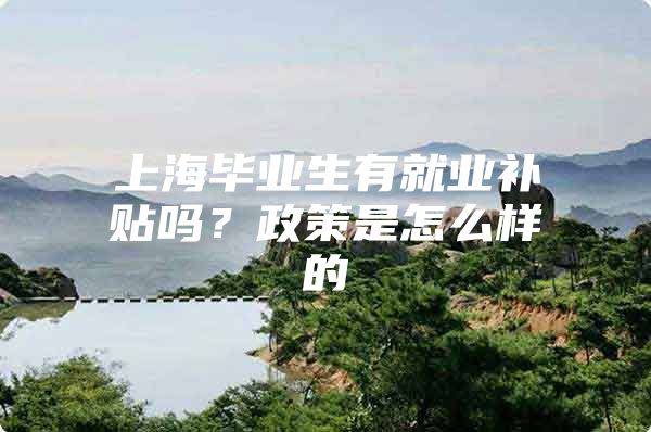 上海毕业生有就业补贴吗？政策是怎么样的