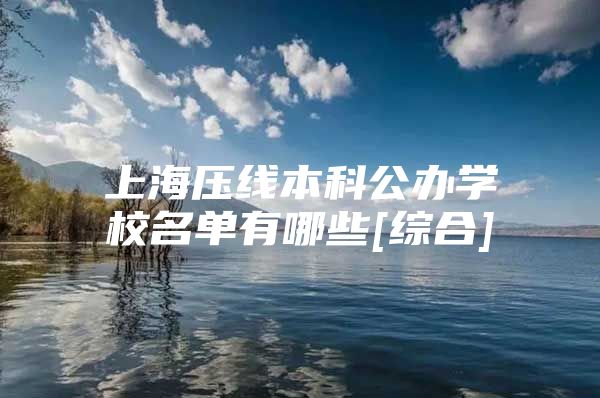 上海压线本科公办学校名单有哪些[综合]