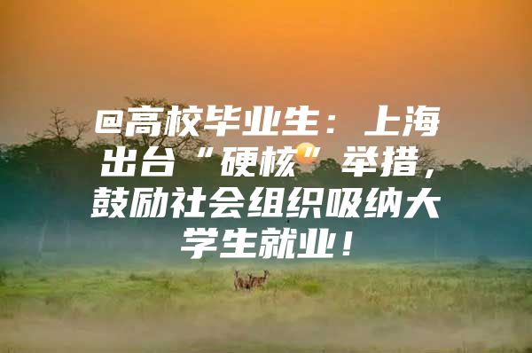 @高校毕业生：上海出台“硬核”举措，鼓励社会组织吸纳大学生就业！