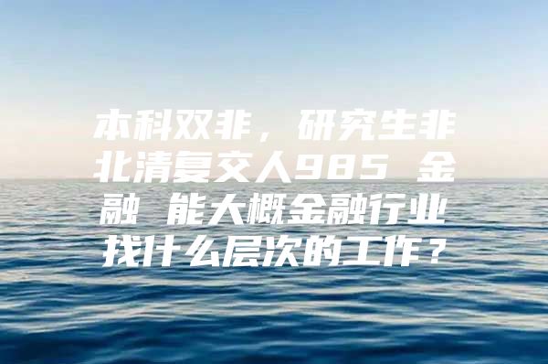 本科双非，研究生非北清复交人985 金融 能大概金融行业找什么层次的工作？