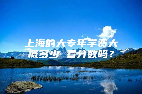 上海的大专年学费大概多少 看分数吗？