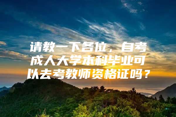 请教一下各位，自考成人大学本科毕业可以去考教师资格证吗？