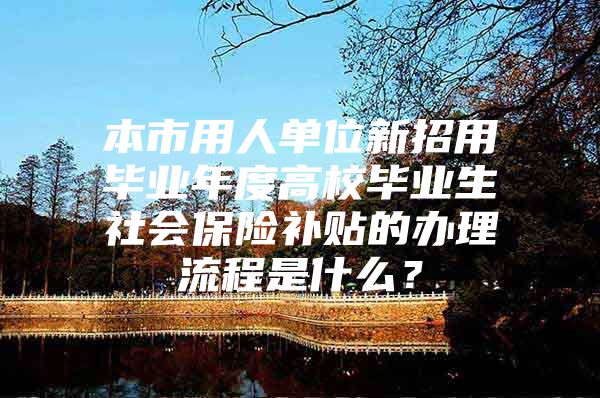 本市用人单位新招用毕业年度高校毕业生社会保险补贴的办理流程是什么？