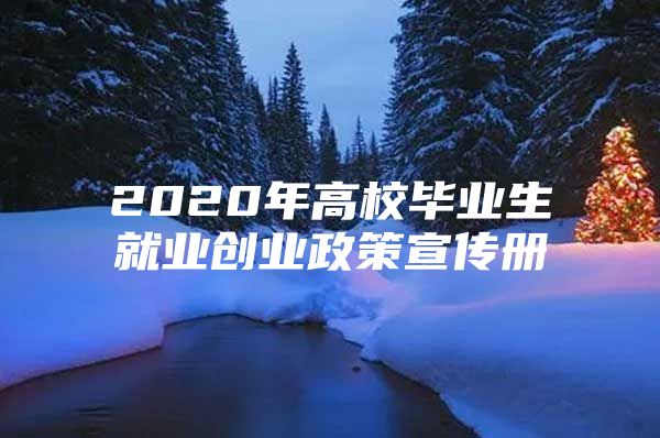 2020年高校毕业生就业创业政策宣传册