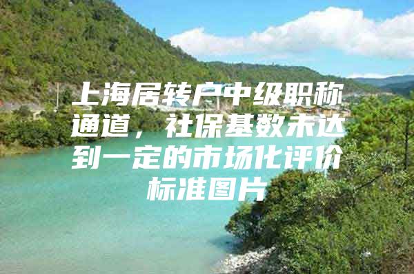 上海居转户中级职称通道，社保基数未达到一定的市场化评价标准图片