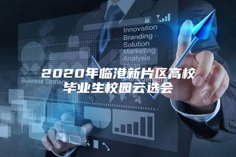 2020年临港新片区高校毕业生校园云选会