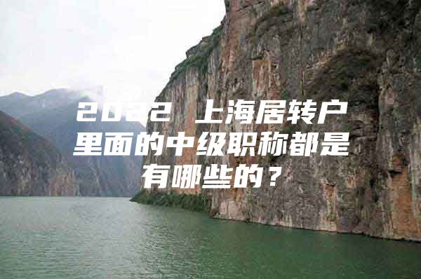 2022 上海居转户里面的中级职称都是有哪些的？