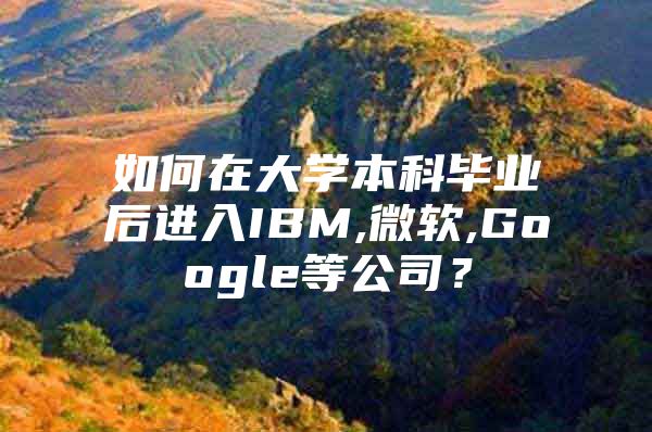 如何在大学本科毕业后进入IBM,微软,Google等公司？