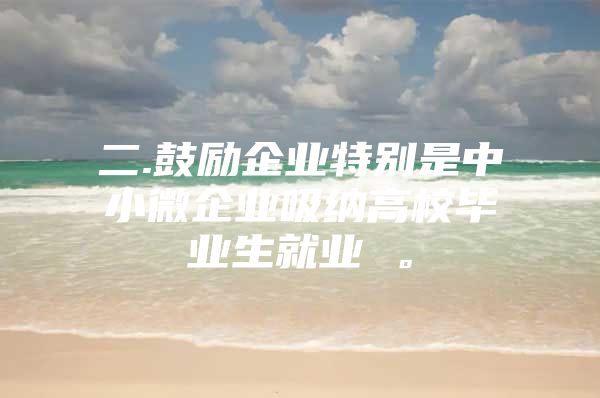 二.鼓励企业特别是中小微企业吸纳高校毕业生就业 。