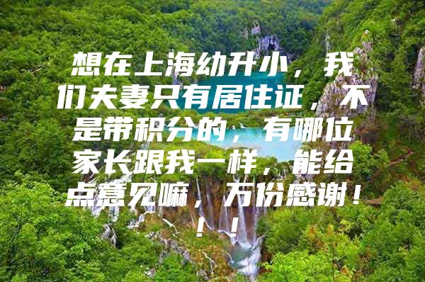 想在上海幼升小，我们夫妻只有居住证，不是带积分的，有哪位家长跟我一样，能给点意见嘛，万份感谢！！！