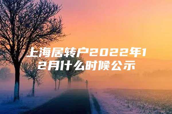 上海居转户2022年12月什么时候公示