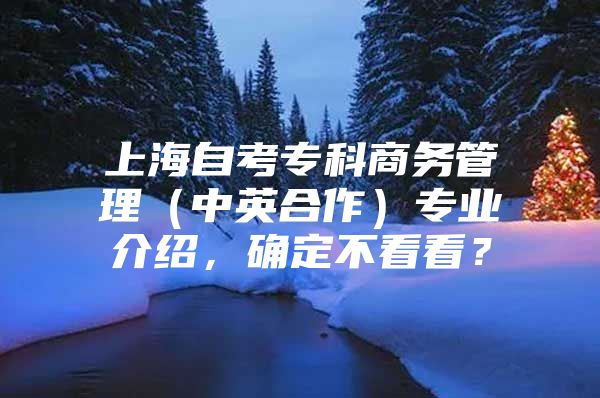 上海自考专科商务管理（中英合作）专业介绍，确定不看看？