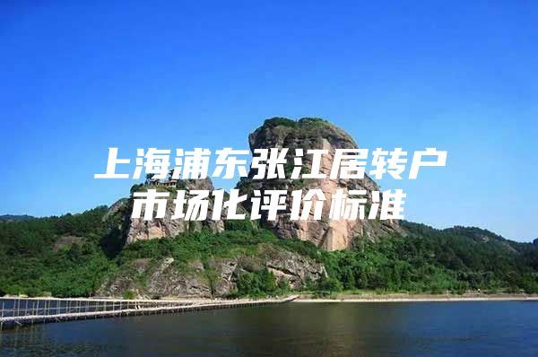 上海浦东张江居转户市场化评价标准