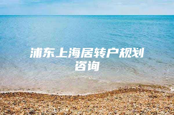 浦东上海居转户规划咨询