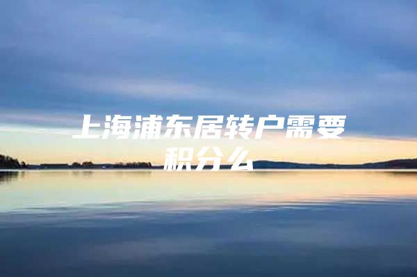 上海浦东居转户需要积分么