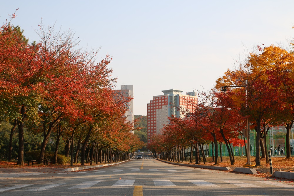 全国毕业生平均薪资最新出炉。