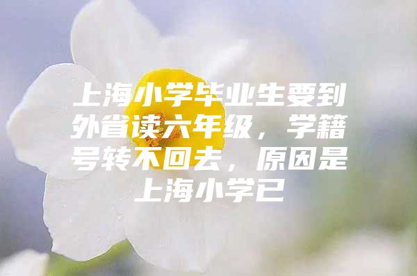 上海小学毕业生要到外省读六年级，学籍号转不回去，原因是上海小学已