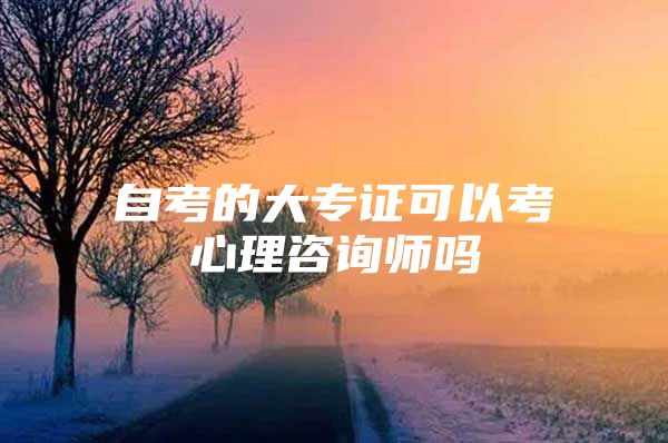 自考的大专证可以考心理咨询师吗