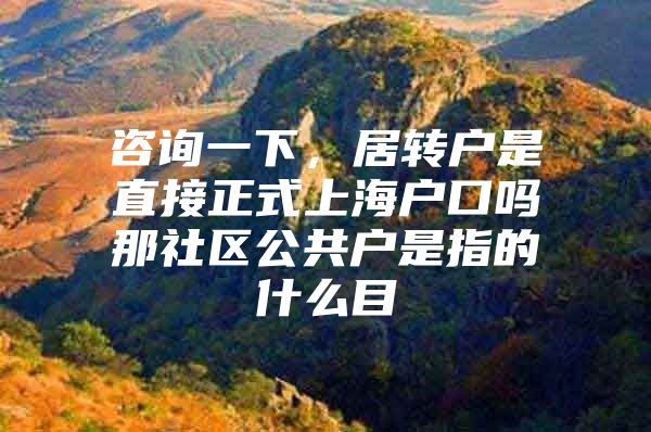 咨询一下，居转户是直接正式上海户口吗那社区公共户是指的什么目