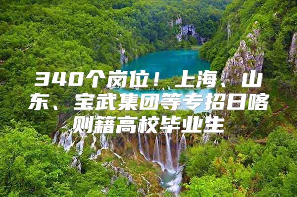 340个岗位！上海、山东、宝武集团等专招日喀则籍高校毕业生