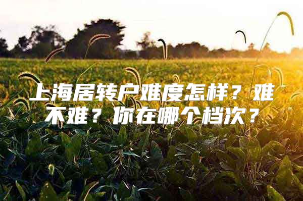 上海居转户难度怎样？难不难？你在哪个档次？