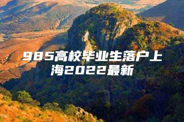 985高校毕业生落户上海2022最新